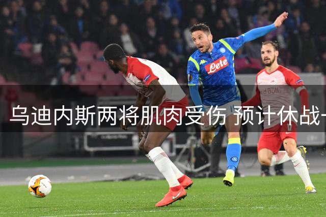 乌迪内斯两将肌肉受伤 预计休战一个月左右