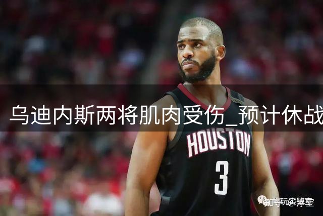 乌迪内斯两将肌肉受伤 预计休战一个月左右