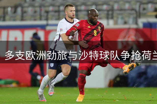 多支欧洲劲旅与沙特球队争抢荷兰后卫海特勒伊达
