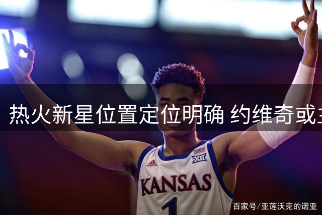 热火新星位置定位明确 约维奇或主打内线