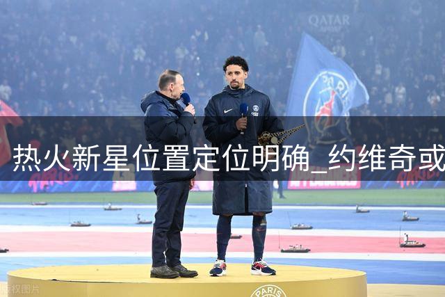 热火新星位置定位明确 约维奇或主打内线